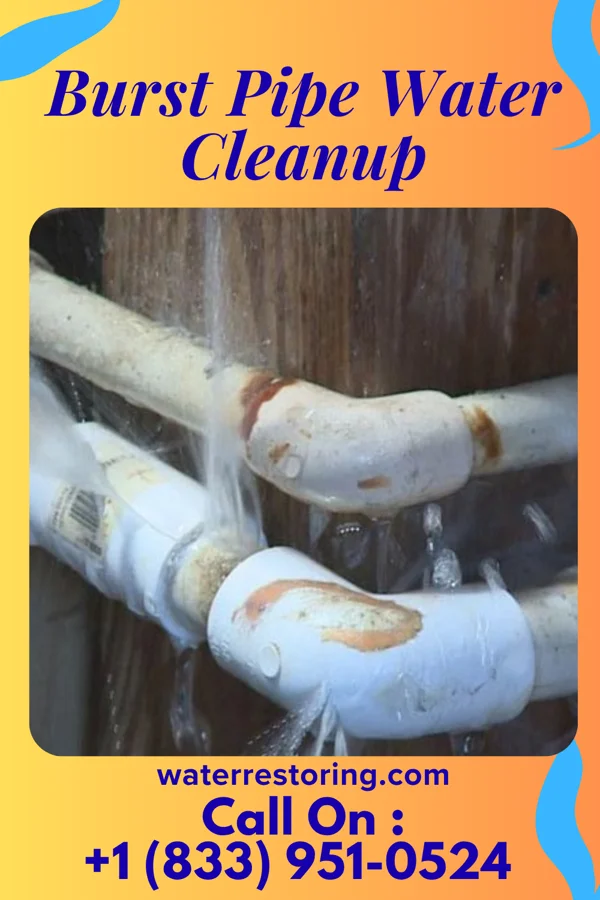 Burst Pipe Water Cleanup in Ware Place, SC