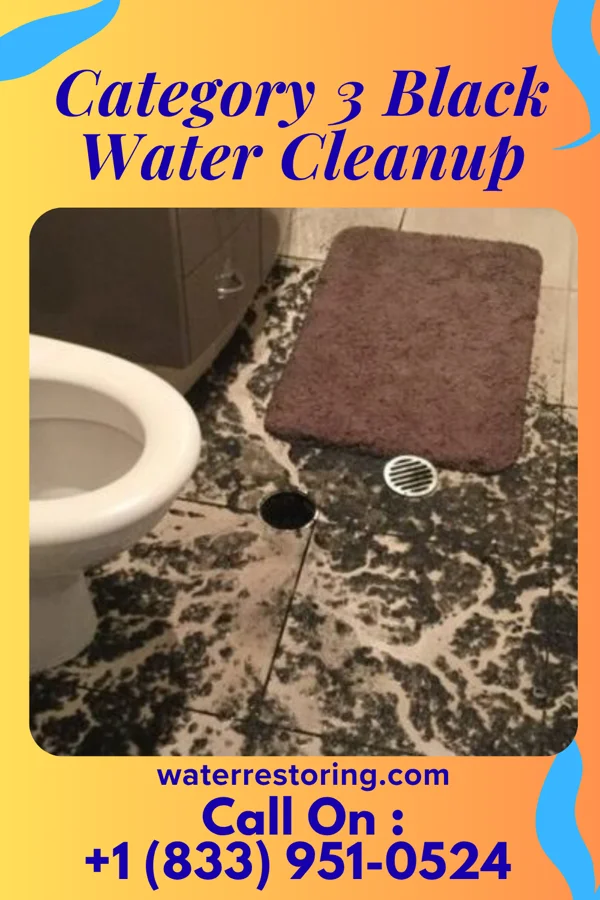 Category 3 Black Water Cleanup in Ware Place, SC