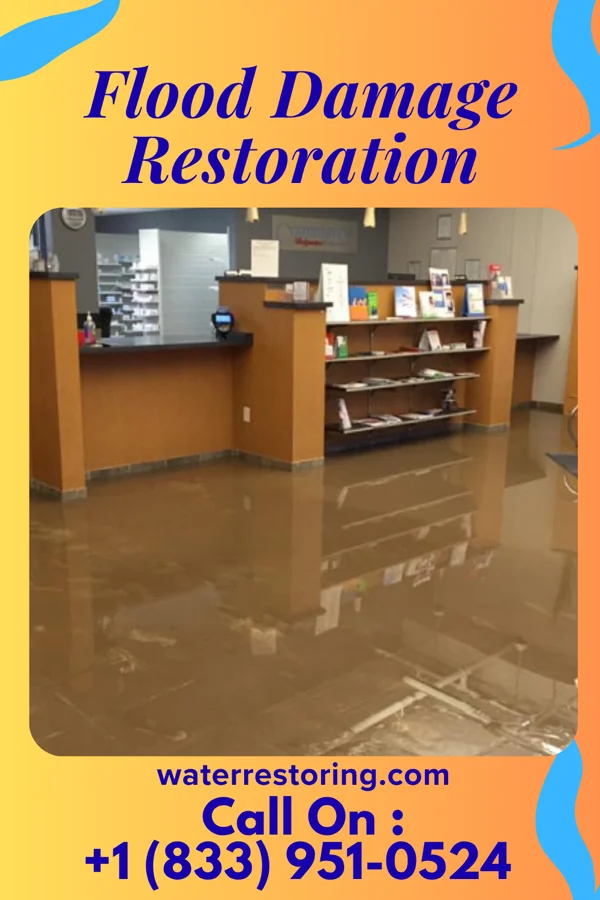 Flood Damage Restoration in Ware Place, SC