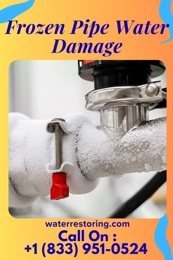 Frozen Pipe Water Damage in Ware Place, SC
