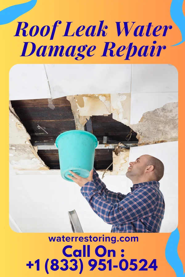 Roof Leak Water Damage Repair in Ware Place, SC