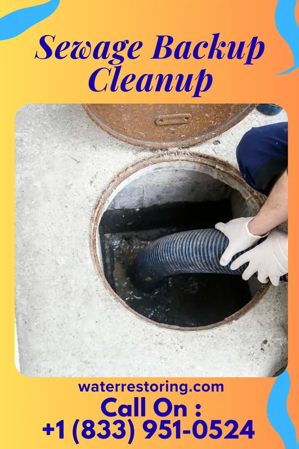 Sewage Backup Cleanup in Ware Place, SC