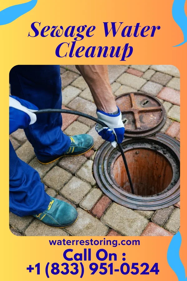 Sewage Water Cleanup in Ware Place, SC