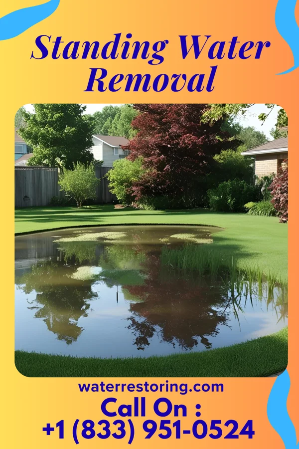 Standing Water Removal in Ware Place, SC